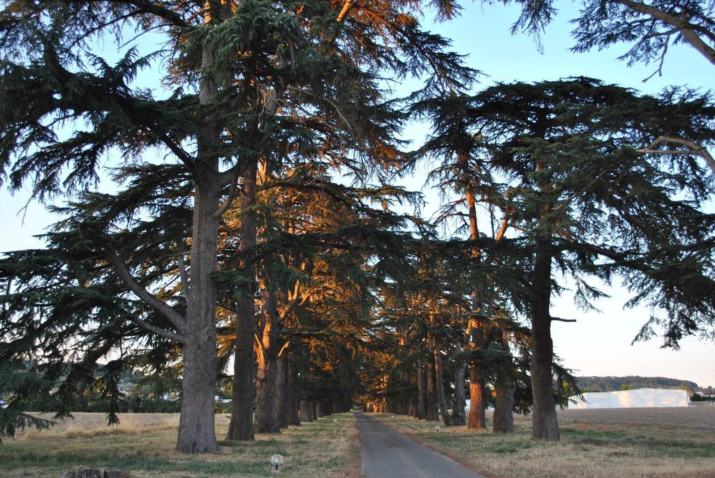 Logis Hotels - Chateau Saint Marcel بُ المظهر الخارجي الصورة